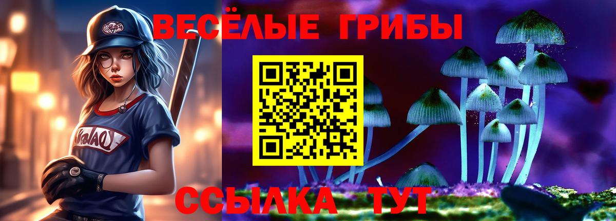 Дзержинский  Псилоцибиновые грибы прущие грибы  Вход с VPN 